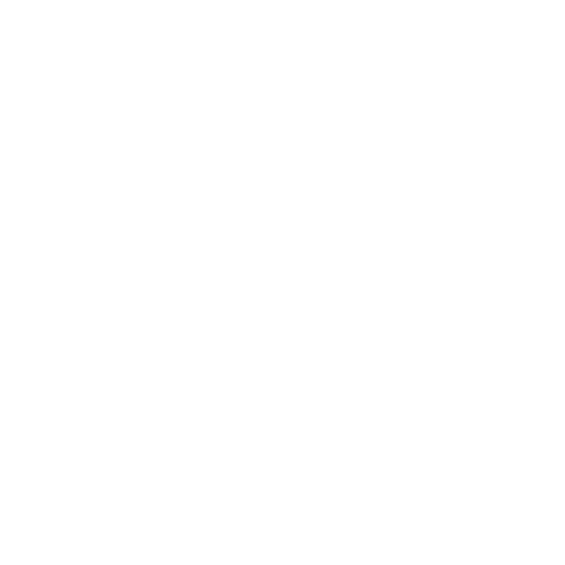 Security Testing and Assurance icon